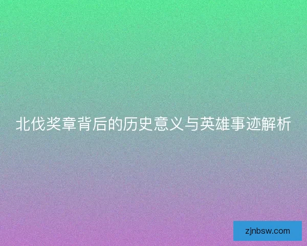 北伐奖章背后的历史意义与英雄事迹解析