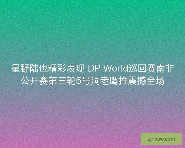 星野陆也精彩表现 DP World巡回赛南非公开赛第三轮5号洞老鹰推震撼全场