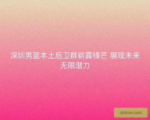 深圳男篮本土后卫群崭露锋芒 展现未来无限潜力